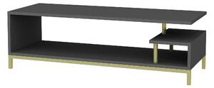 OBURUS Tv-bänk 120x37,6 cm Guld -