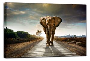 Tavla Canvas Elephant Flerfärgad 100X75 - 75x100