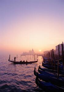 Fotografi Italy, Venice gondolas at sunset, Grant Faint