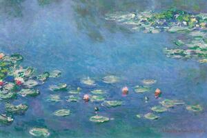 Poster, Affisch Claude Monet - Waterlillies