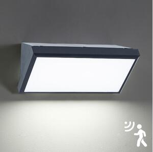 Brilagi - LED Utomhus vägglampa med sensor TRIANGLE LED/20W/230V antracit