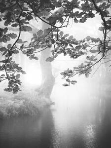 Fotografi Misty river, Rudolf Vlcek