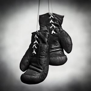 Fotografi Laced boxing gloves, SEAN GLADWELL