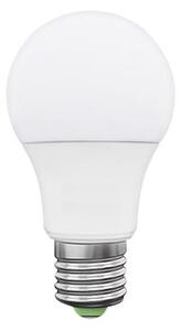 LED-lampa LED stjärna ECO E27/10W/230V 3000K