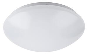 LED Badrumsbelysning tak LED/12W/230V