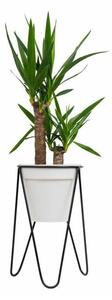 Flowerpot stand LOFT 50x30 cm svart