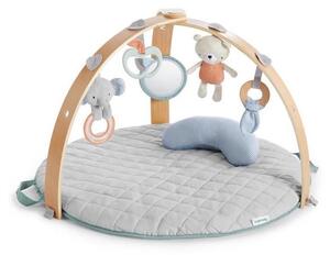 Ingenuity - Babygym LOAMY mint/grå