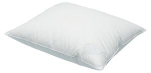 Cozy by Dozy Dozy Barnkudde 55x38