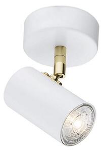 Argon 4209 - Takpotlight LAGOS 1xGU10/5W/230V vit/guld