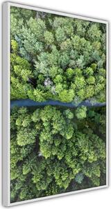 Inramad Poster / Tavla - Forest from a Bird's Eye View - 20x30 Vit ram med passepartout