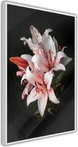 Inramad Poster / Tavla - Pale Pink Lilies - 30x45 Guldram med passepartout