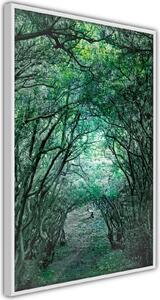 Inramad Poster / Tavla - Tree Tunnel - 20x30 Guldram