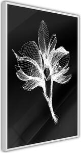 Inramad Poster / Tavla - White Plant - 40x60 Svart ram med passepartout