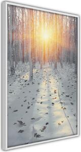 Inramad Poster / Tavla - Frosty Sunset - 20x30 Guldram med passepartout