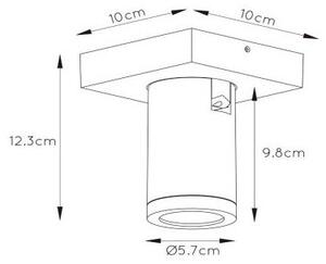 Lucide 09930/05/30 - LED Justerbar ljusstyrka spotlight TAYLOR 1xGU10/5W/230V IP44