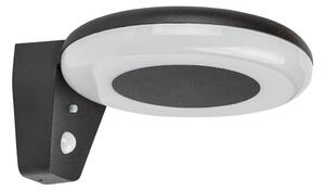 Rabalux 77010 - LED solcellsbelysning med en sensor CERTOVO LED/4W/3,7V IP44