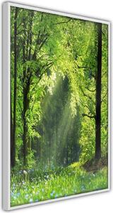 Inramad Poster / Tavla - Forest Path - 30x45 Guldram