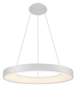 LED2 - LED ljuskrona med upphängningsrem BELLA LED/50W/230V 3000K diameter 60 cm vit