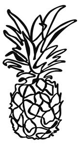 PINEAPPLE Väggdekor Svart -