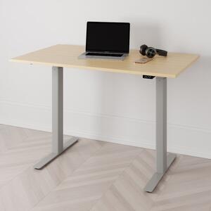 Höj och sänkbart skrivbord PREMIUM, 2-motorigt, grått stativ, björk bordsskiva 120x70cm