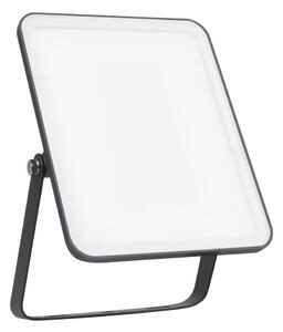 Ledvance - LED Väggstrålkastare för utomhusbruk FLOODLIGHT LED/30W/230V 6500K IP65