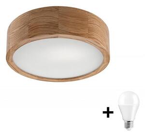 LED Taklampa OAK 1xE27/10W/230V ek. 27 cm