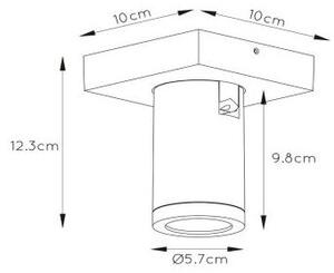 Lucide 09930/05/31 - LED Justerbar ljusstyrka spotlight TAYLOR 1xGU10/5W/230V IP44