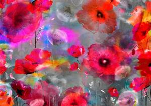 Fototapet - Painted Poppies - Självhäftande 98x70