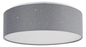 Rabalux - LED Takbelysning LED/22W/230V grå