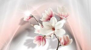 Fototapet - White Magnolias II - Standard 500x280