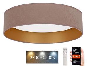 Brilagi - LED Ljusreglerad belysning VELVET SMART LED/24W/230V Wi-Fi Tuya + FK