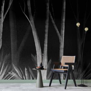 Fototapet - Noise of the forest at night - minimalist landscape of white trees on a black background - Premium 250x175