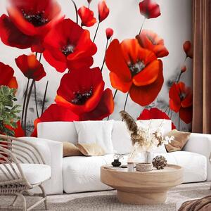 Fototapet - Poppies in the Moonlight - Premium 250x175