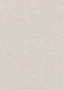 Chanderi - Powder Beige