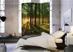 Rumsavdelare - Morning in the Forest - Ensidig 135x172