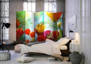 Rumsavdelare - Spring Tulips II - Dubbelsidig 225x172