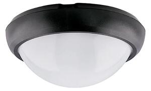 Utomhus LED taklampa LED/12W/230V IP54