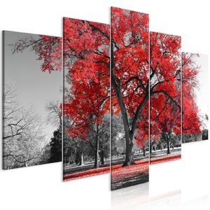 Tavla - Autumn in the Park (5 Parts) Wide Red - Premium print 100x50