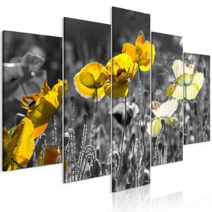 Tavla - Yellow Poppies (5 Parts) Wide - Premium print 100x50