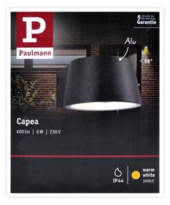 Paulmann 94452 - LED/6W IP44 Utomhus Väggbelysning CAPEA 230V