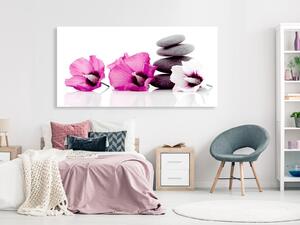 Tavla - Calm Mallow (1 Part) Pink - Premium print 70x35