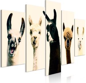 Tavla - Happy Family (5 Parts) Wide - Standard 200x100