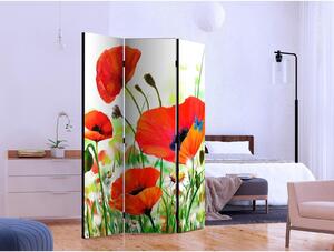 Rumsavdelare - Country poppies - Ensidig 135x172