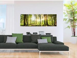Tavla - Daylight - I svart träram 150x50