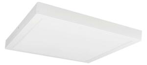 LED taklampa FENIX LED/32W/230V 3800K 40 cm snö vit