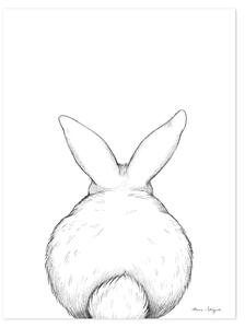 Bunny From The Back Poster - 30x40 cm