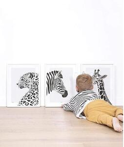 Serengeti Zebra Poster - 30x40 cm