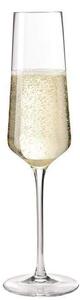 PUCCINI Champagneglas - 6-pack