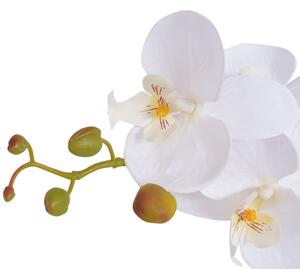 Konstväxt Orkidé med kruka 65 cm vit