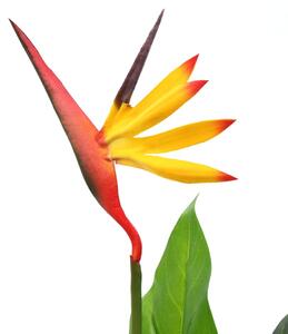 Konstväxt papegojblomma 66 cm